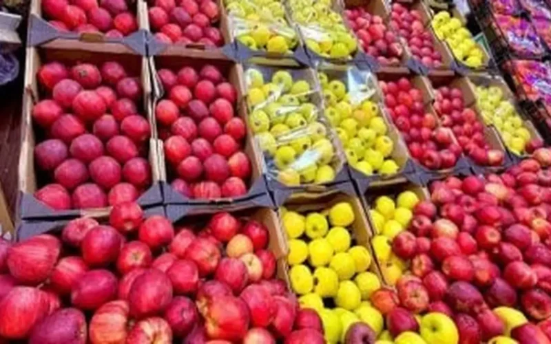 رصد يومي.. أسعار الفاكهة الطازجة في الأقصر الجمعة